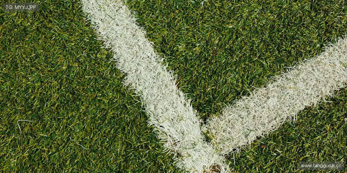 ⚽️全球赛事同步,见证每一个辉煌瞬间!